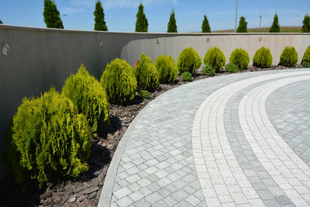 Best Driveway Pavers Near Me  in Clisle, AR